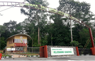 Kledang-Saiong-Forest-Eco-Park