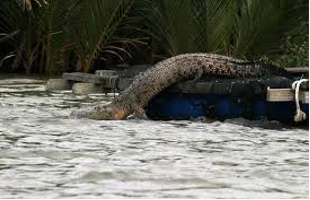 Kuching-Wetlands-National-Park